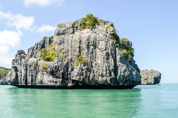 istock Coastline of Koh Phi Phi Island in Thailand 648623628