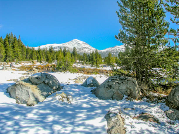 typowy widok na park narodowy yosemite. - mountain range landscape scenics autumn zdjęcia i obrazy z banku zdjęć