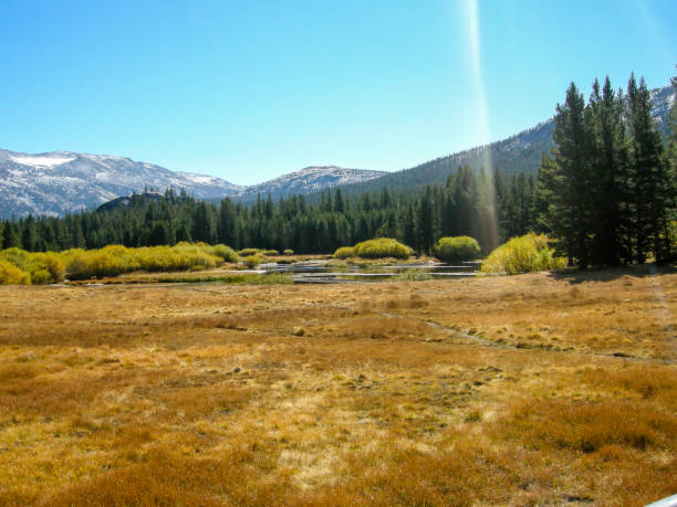 typowy widok na park narodowy yosemite. - mountain range landscape scenics autumn zdjęcia i obrazy z banku zdjęć