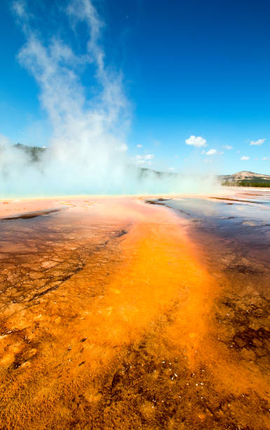 istock Grand Prismatic Spring in the Midway Geyser Basin in Yellowstone NP 648636706
