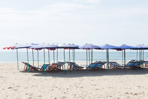 istock Beds and umbrellas on the beach. 648640156