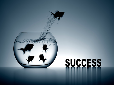 Success concept represented by a fish jumping out of his comfort zone