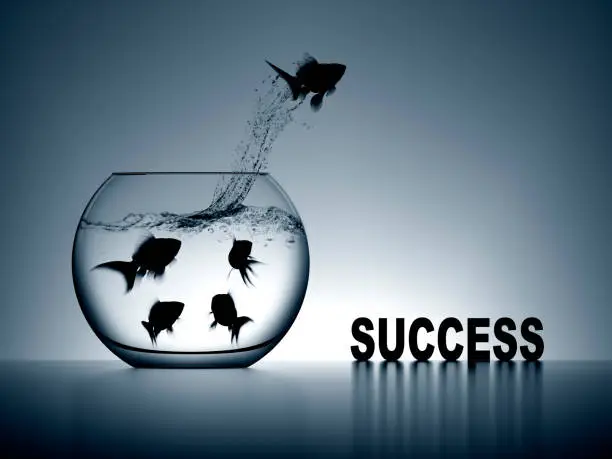 Photo of Success