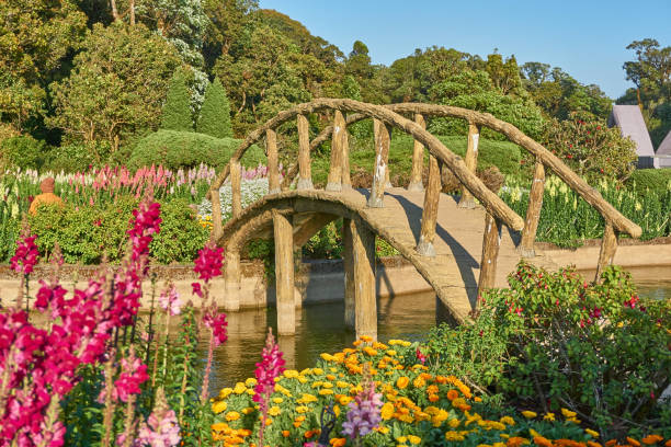 istock Arch bridge in flower garden. 648646640