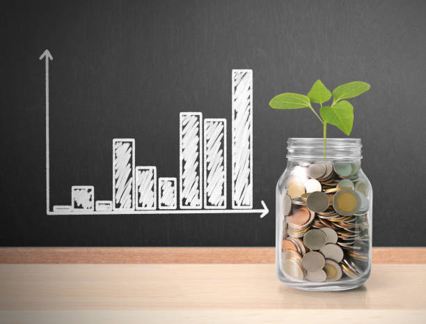 istock Sprout growing on  glass piggy bank 648652906