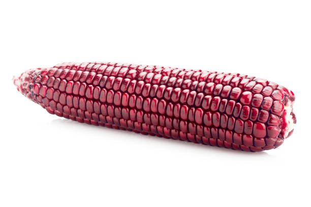 istock fresh red color corn isolated on white background with clipping path 648655700