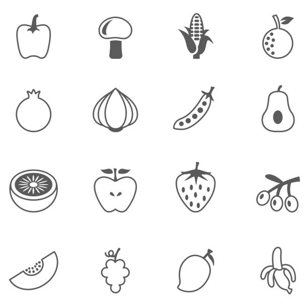 ilustrações de stock, clip art, desenhos animados e ícones de fruits and vegitables - vegitables