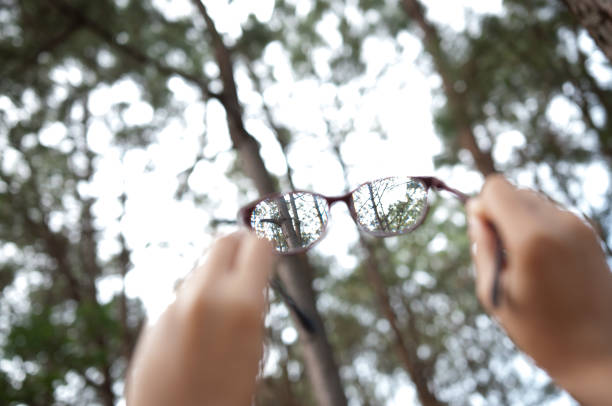 istock Hands holding glasses on fresh air at natural forest background. 648660028