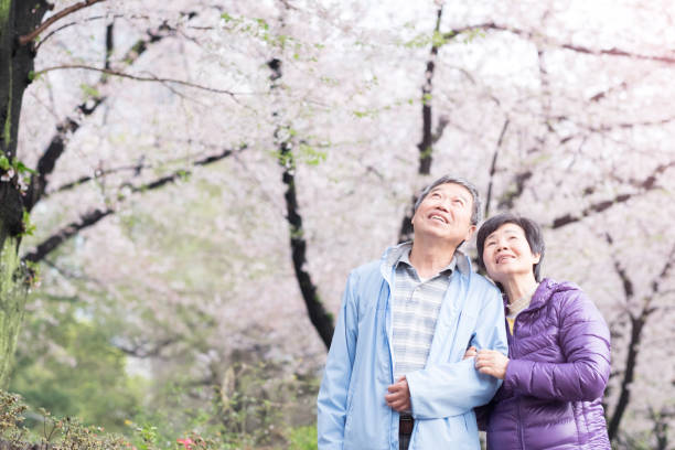 istock Old couple walk in park 648662706