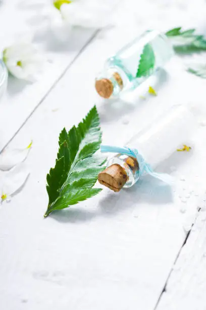 spa setting with bath salt and fern leaves on white wooden table background