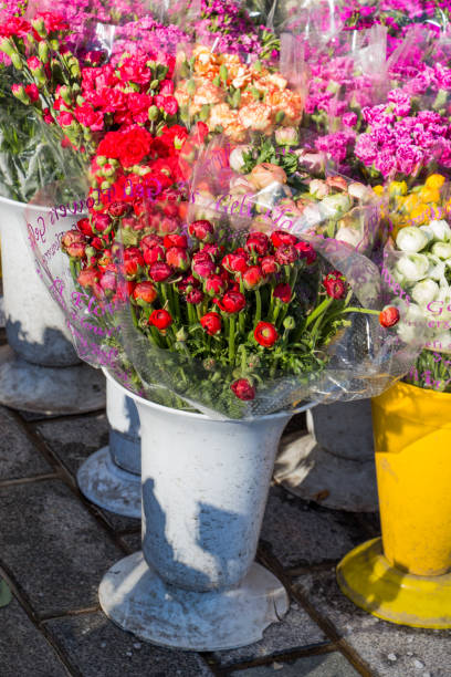 istock Flower pot with beautiful flowers in it 648667154