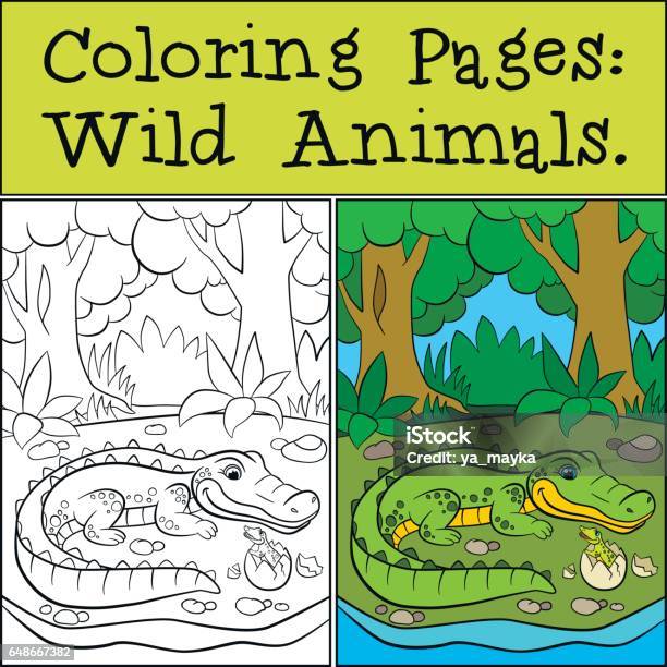 Coloring Pages Wild Animals Little Cute Alligator Stock Illustration - Download Image Now