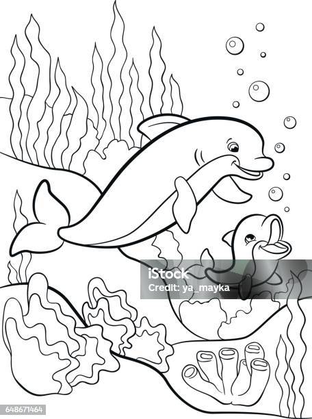 Coloring Pages Marine Wild Animals Mother Dolphin Swims With Her Little Cute Baby Dolphin Stock Illustration - Download Image Now