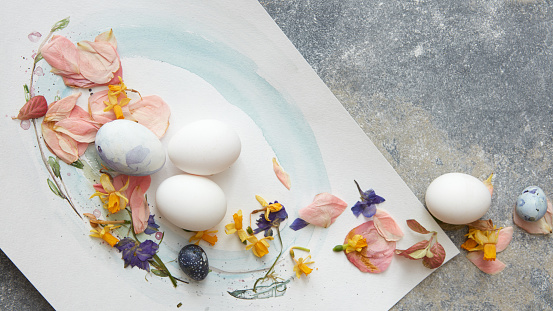 Dried flowers and eggs on a piece of paper with space for text