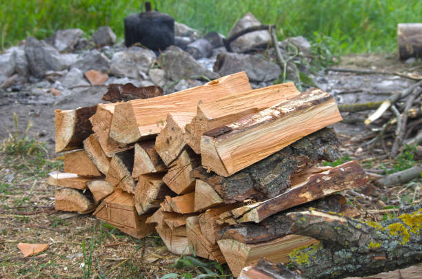 istock chopped firewood on the ground 648675562