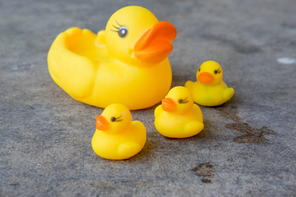 istock Group of plastic yellow rubber duck 648675604