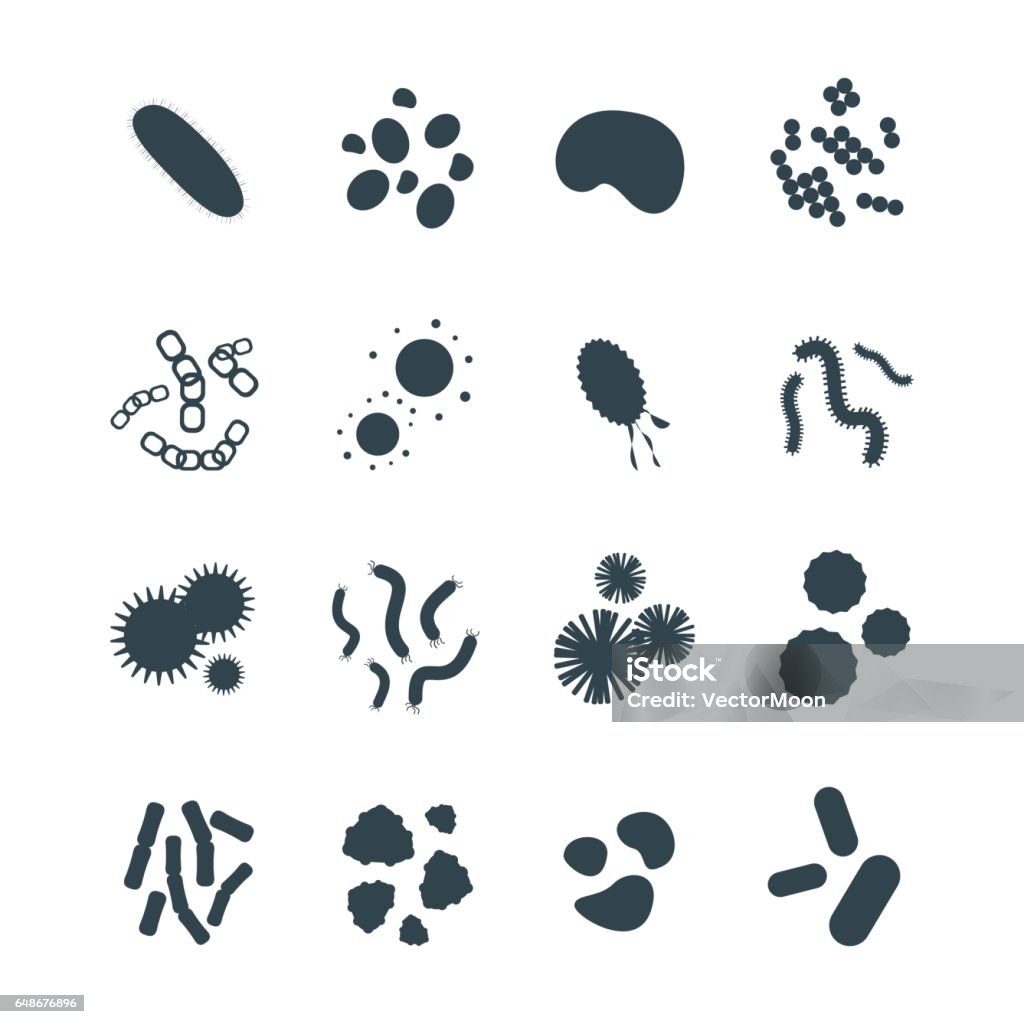 Bakterien Viren mikroskopisch kleine isolierte Mikroben Symbol menschlichen Mikrobiologie Organismus und Medizin Infektion Biologie Krankheitserreger Schimmel Vektor-illustration - Lizenzfrei Icon Vektorgrafik