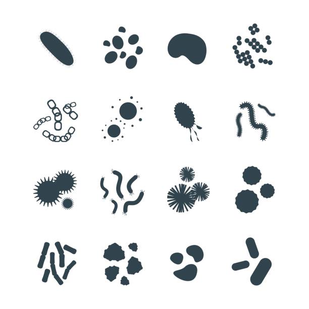 bakterien viren mikroskopisch kleine isolierte mikroben symbol menschlichen mikrobiologie organismus und medizin infektion biologie krankheitserreger schimmel vektor-illustration - molded stock-grafiken, -clipart, -cartoons und -symbole