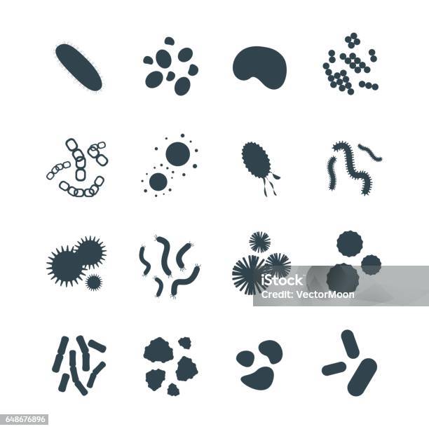 Bakterien Viren Mikroskopisch Kleine Isolierte Mikroben Symbol Menschlichen Mikrobiologie Organismus Und Medizin Infektion Biologie Krankheitserreger Schimmel Vektorillustration Stock Vektor Art und mehr Bilder von Icon