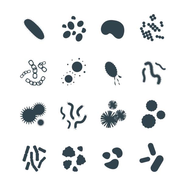 박테리아 바이러스 미세한 격리 미생물 아이콘 인간의 미생물 유기 체 및 의학 감염 생물학 질병 병원 체 형 벡터 일러스트 레이 션 - micro organism stock illustrations