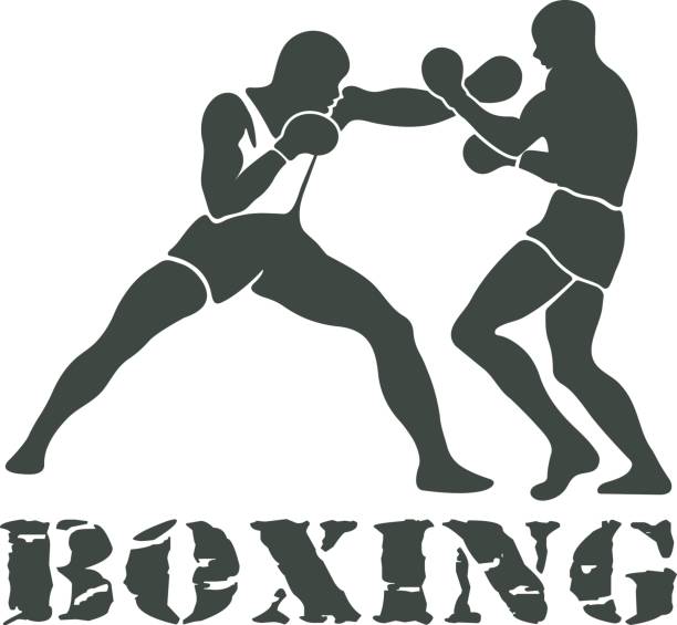 Boxing Players Fighting Sportsman Games Boxing Players Fighting Sportsman Games Icon Set pics of belted kingfisher stock illustrations