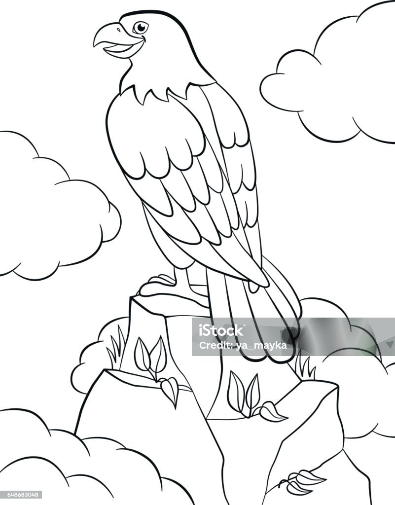 Coloring pages. Wild birds. Cute smiling eagle sits on the rock. Coloring pages. Wild birds. Cute eagle sits on the rock and smiles. Animal stock vector