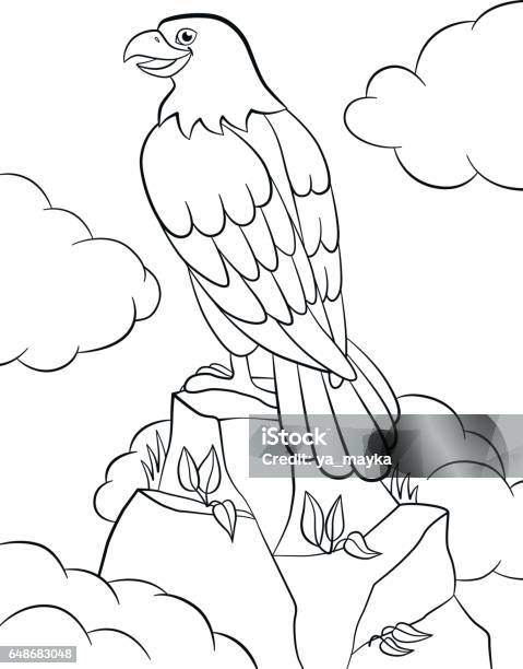 Coloring Pages Wild Birds Cute Smiling Eagle Sits On The Rock Stock Illustration - Download Image Now