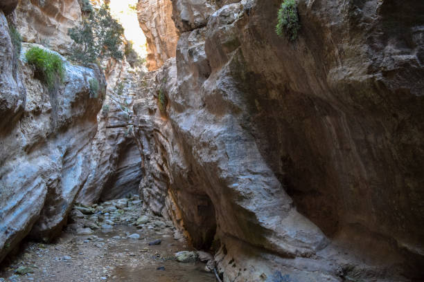 istock Avakas Gorge. Wild authentic nature of Cyprus island 648687472