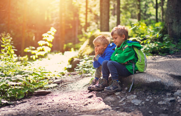 istock Brothers hikers resting in a forest. 648695406