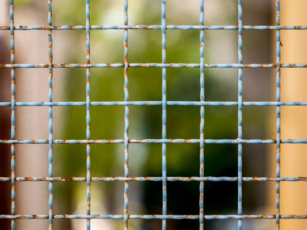 istock mesh netting on the blur bokeh background 648695410