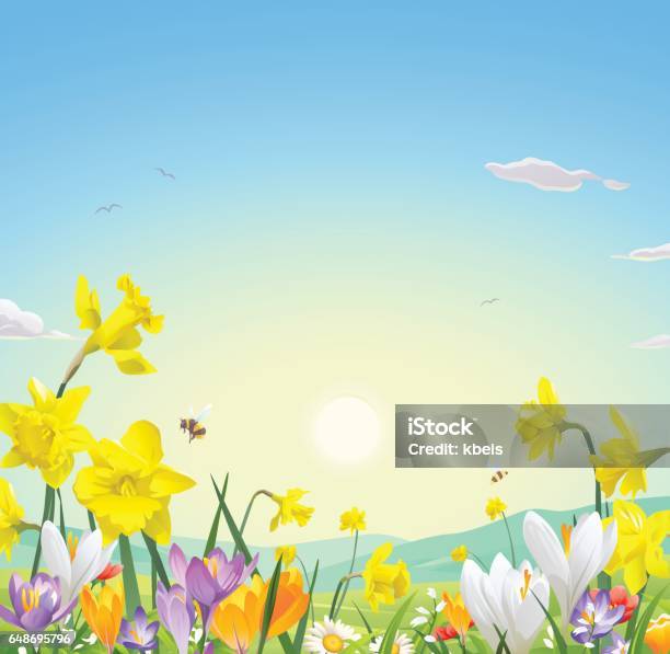 Wild Flower Field Stock Illustration - Download Image Now - Springtime, Bee, Backgrounds