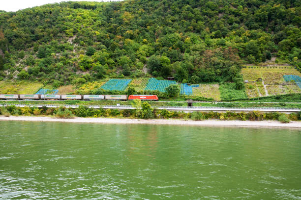Freight train and landscape on the Middle Rhine north of St. Goar. View from the river Rhine.