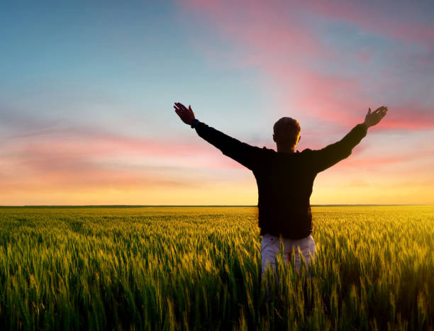 istock Winner silhouette on the field 648696144