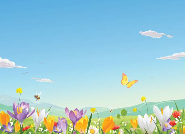 illustrations, cliparts, dessins animés et icônes de champ de fleurs  - spring grass cloud butterfly