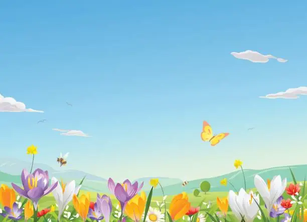 Vector illustration of Flower Field