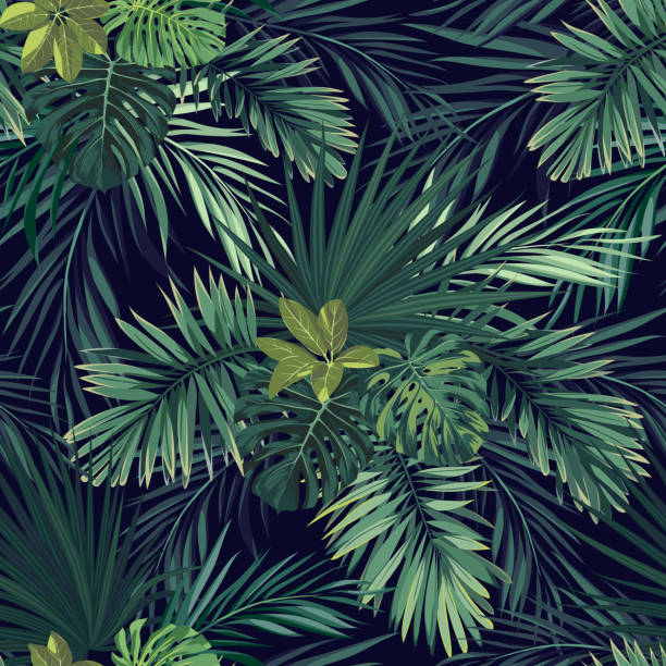 illustrazioni stock, clip art, cartoni animati e icone di tendenza di motivo vettoriale esotico botanico disegnato a mano senza cuciture con foglie di palma verde su sfondo scuro - exoticism