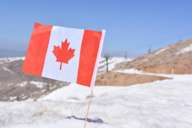 istock Canadian flag in the snow 648705952