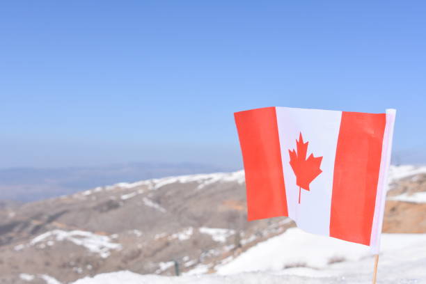 istock Canadian flag in the snow 648705962