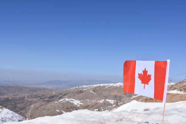istock Canadian flag in the snow 648706292