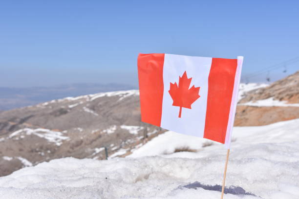 istock Canadian flag in the snow 648706412