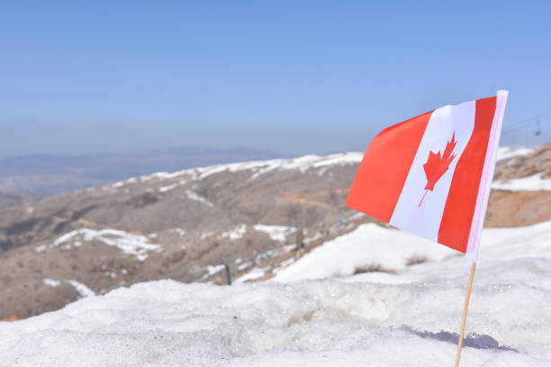 istock Canadian flag in the snow 648706414