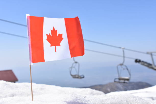 istock Canadian flag in the snow 648706714
