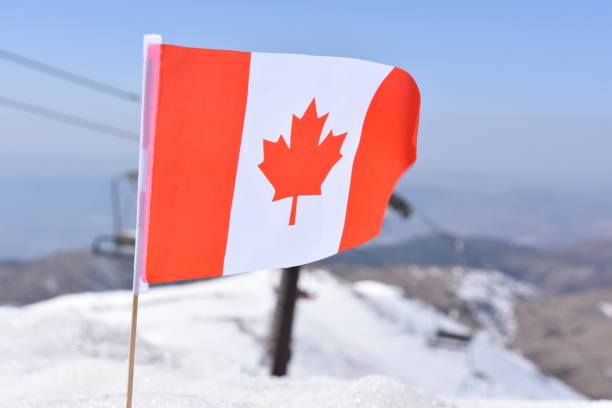 istock Canadian flag in the snow 648709172