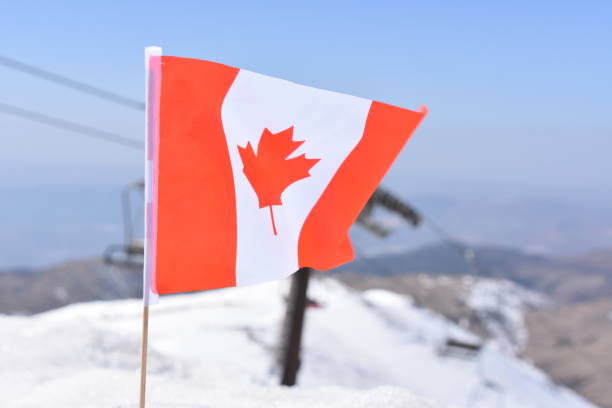 istock Canadian flag in the snow 648709194