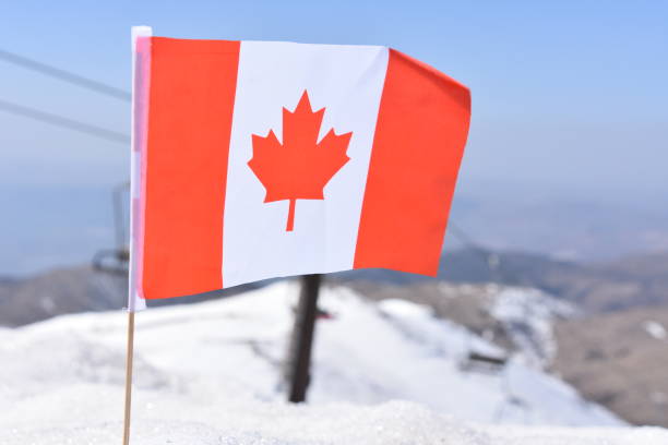 istock Canadian flag in the snow 648709554