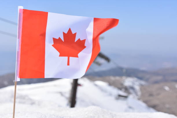 istock Canadian flag in the snow 648709570