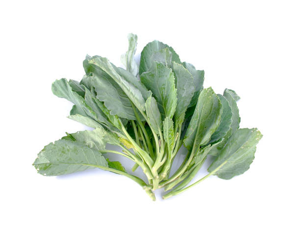 istock Chinese kale vegetable on white background 648711222
