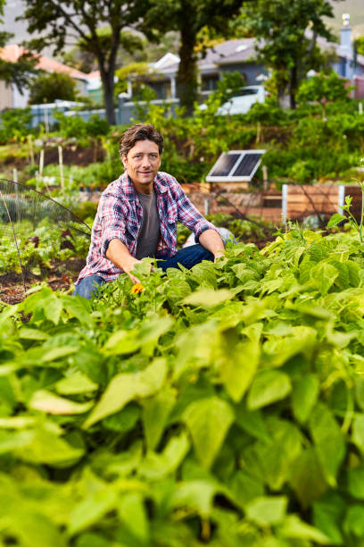 istock My garden is growing well! 648714220