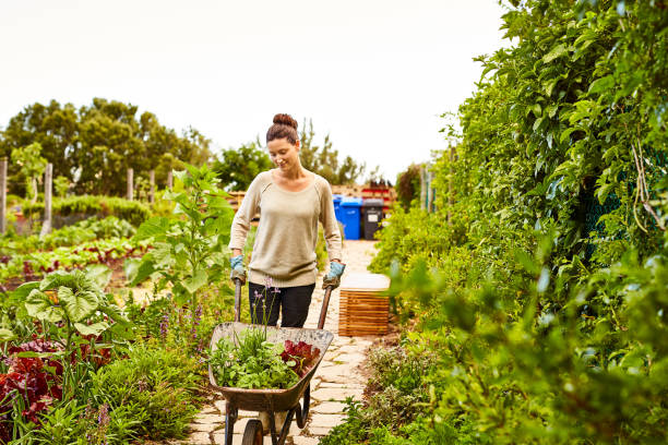 istock They love growing their own produce 648714230