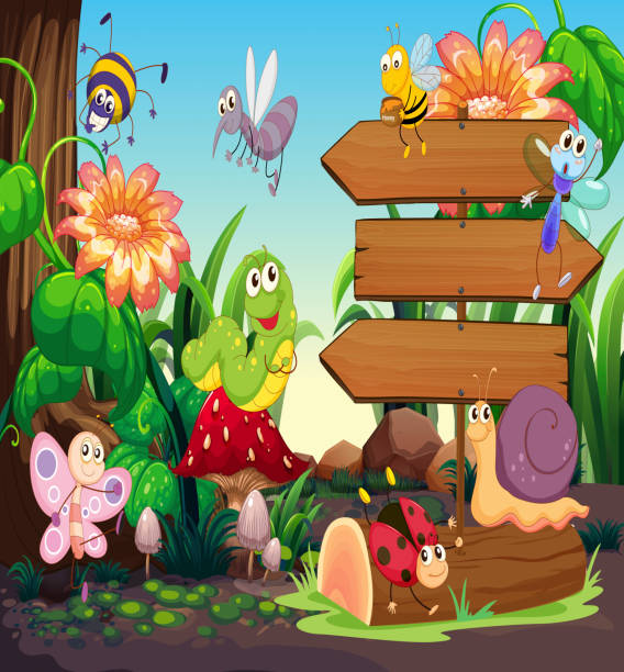 Wooden signs and insects in garden Wooden signs and insects in garden illustration ladybug frame border clip art stock illustrations